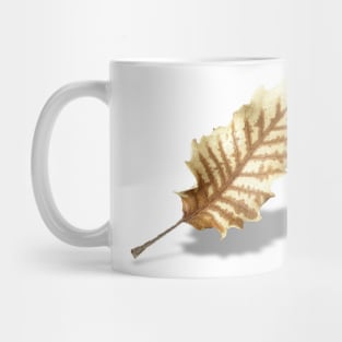 Brown Fall Leaf on White Background Mug